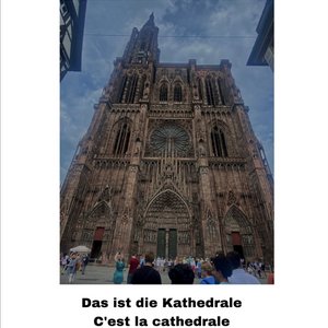 Ich sehe die Kathedrale von Straßburg.